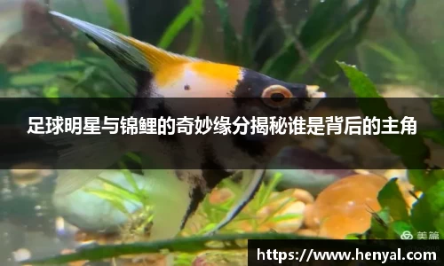 KY开元官方网站